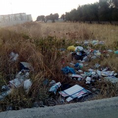 Emergenza rifiuti, la periferia di Barletta è fuori controllo