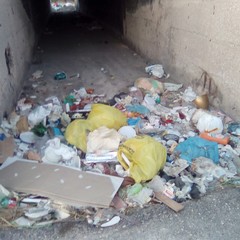 Emergenza rifiuti, la periferia di Barletta è fuori controllo