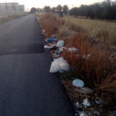 Emergenza rifiuti, la periferia di Barletta è fuori controllo