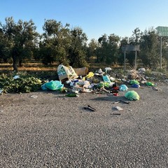 Rifiuti abbandonati