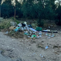 Rifiuti abbandonati
