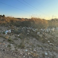 Rifiuti abbandonati