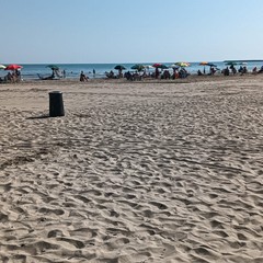La spiaggia ripulita dalla Bar.S.A.