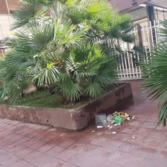 Sporcaccioni in via D'Aragona, il marciapiede è colmo di rifiuti