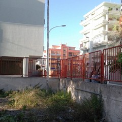 rimozione vegetazione