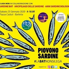 Sardine in piazza a Barletta
