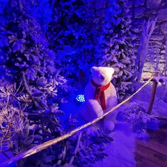 Si aprono le porte di Christmas Wonderland al Castello di Barletta