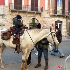 solidariet a cavallo