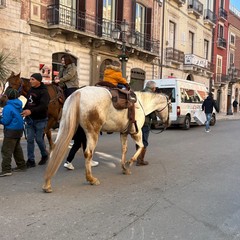 solidariet a cavallo