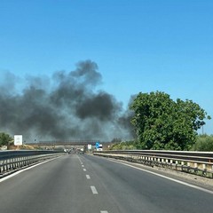 Sterpaglie in fiamme nei terreni tra Barletta e Trani