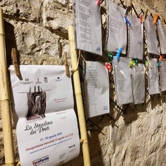 "La stradina dei poeti" nel cuore del centro storico di Barletta