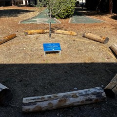 Targa commemorativa giudice Livatino