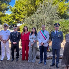 Targa commemorativa giudice Livatino