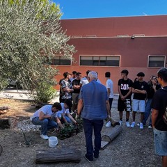 Targa commemorativa giudice Livatino