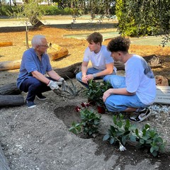 Targa commemorativa giudice Livatino