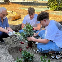 Targa commemorativa giudice Livatino