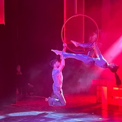 Pecore Elettriche: conclusa la Settima edizione del TedExBarletta 2025