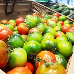 Todis a Barletta, il biologico che fa la differenza