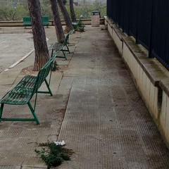 Pulizia nell'area di sosta a Canne della Battaglia