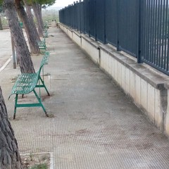 Pulizia nell'area di sosta a Canne della Battaglia