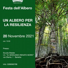 Un albero per la resilienza