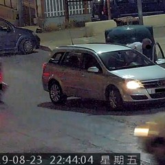 Le immagini delle fototrappole immortalano gli sporcaccioni di Barletta