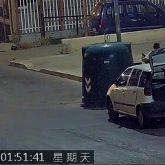 Le immagini delle fototrappole immortalano gli sporcaccioni di Barletta