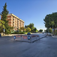 Transenne a centro strada in via Barberini