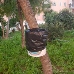 Una soluzione "originale" per le deiezioni canine: succede in via della Pace