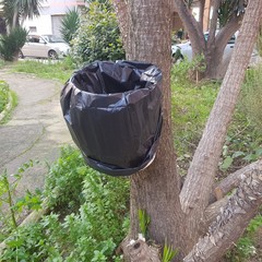 Una soluzione "originale" per le deiezioni canine: succede in via della Pace