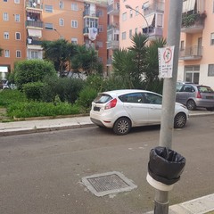Una soluzione "originale" per le deiezioni canine: succede in via della Pace