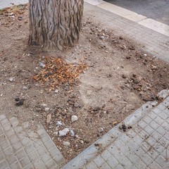 Via Fermi