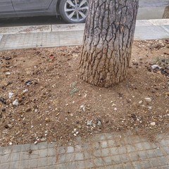 Via Fermi