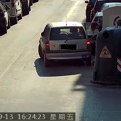 Le immagini delle fototrappole immortalano gli sporcaccioni di Barletta