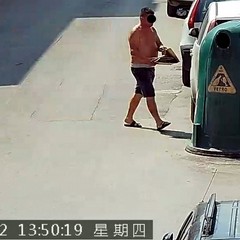 Le immagini delle fototrappole immortalano gli sporcaccioni di Barletta