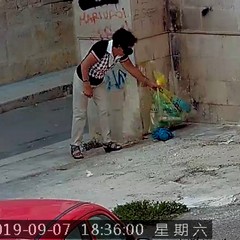 Le immagini delle fototrappole immortalano gli sporcaccioni di Barletta