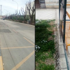 Fermata dei bus in viale Marconi, la pensilina non basta