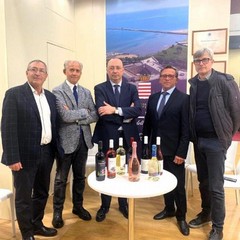 Vinitaly 2026: i prodotti barlettani alla fiera nazionale