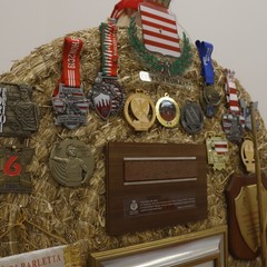 Volkswagen Marathon Barletta