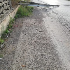 Disagi in via Vecchia Canosa per il vento forte