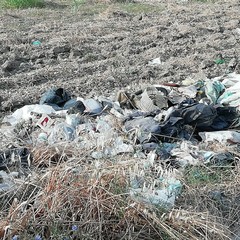 Barletta, rifiuti abbandonati per strada, in spiaggia e in campagna