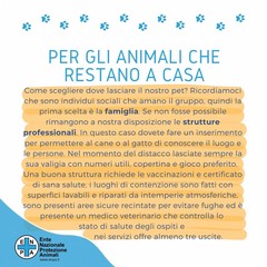 Vacanze con gli animali, il vademecum di ENPA