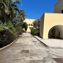 Conclusi i lavori di pulizia nei viali esterni dell'ASP Regina Margherita