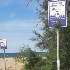 Mare e disabilità