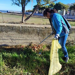 Passeggiata ecologica a Barletta, l’evento a cura dell’associazione Plastic Free