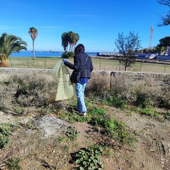 Passeggiata ecologica a Barletta, l’evento a cura dell’associazione Plastic Free