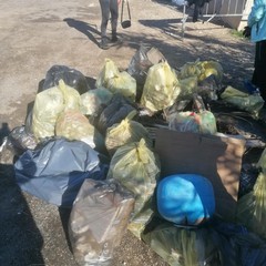 Passeggiata ecologica a Barletta, l’evento a cura dell’associazione Plastic Free