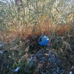 Passeggiata ecologica a Barletta, l’evento a cura dell’associazione Plastic Free