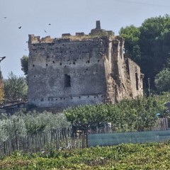 Natura, storia e impegno per l'ambiente: il Club Amici del Trekking Bari lungo l’Ofanto
