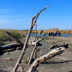 Natura, storia e impegno per l'ambiente: il Club Amici del Trekking Bari lungo l’Ofanto